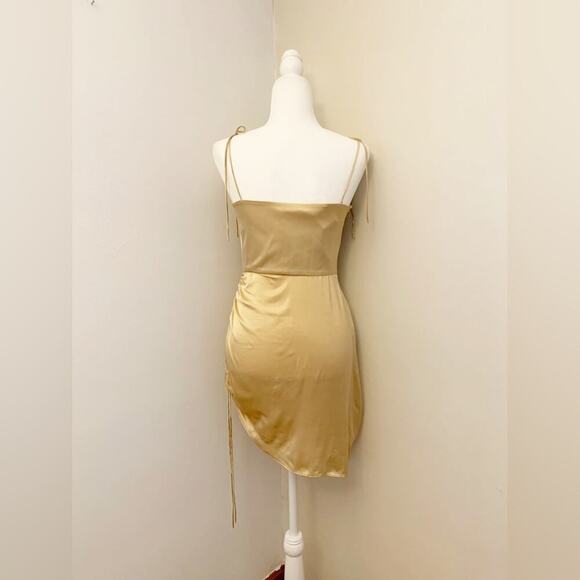 Amanda Uprichard chiara dress in earth. Silk - Picture 8 of 16
